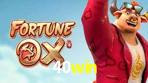 Football Betting 40win